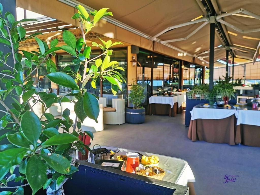 Hotel Campos De Baeza Ngoại thất bức ảnh